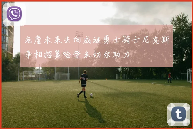 老詹未来去向成谜勇士骑士尼克斯争相招募哈登米切尔助力