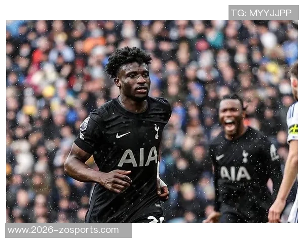 热刺球员身价波动分析库杜斯与斯宾塞领涨1000万欧元